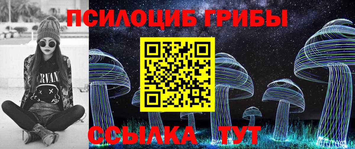 Галлюциногенные грибы мицелий Котельники